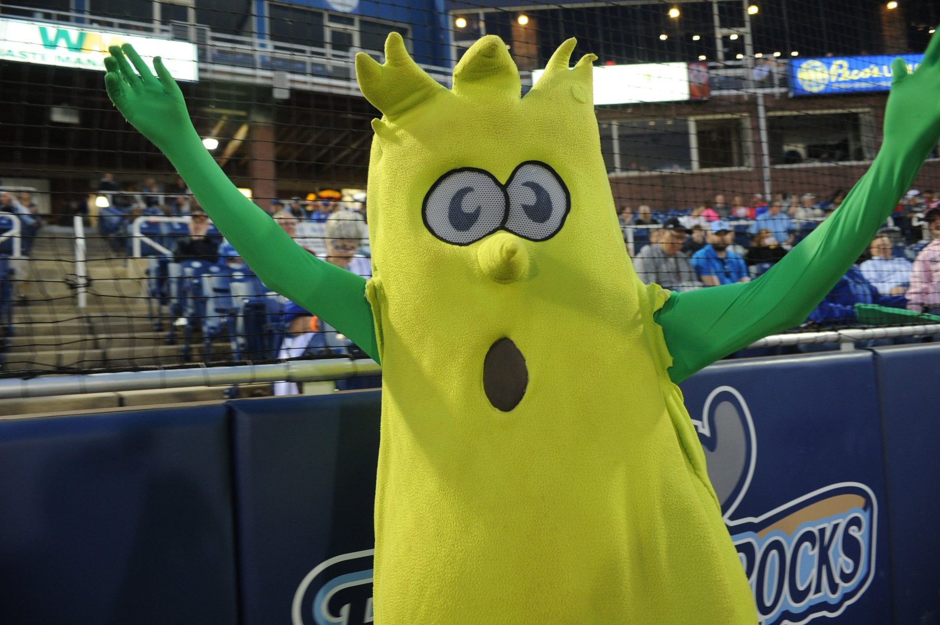 Mr. Celery Mr. Celery